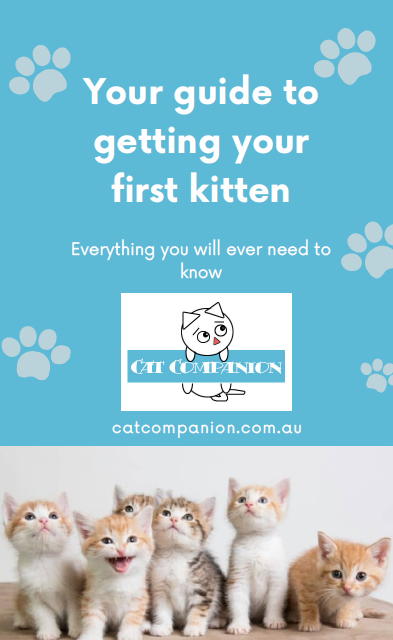 Kitten ebook front cover