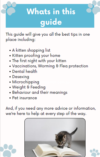 Your guide to getting your first kitten_2