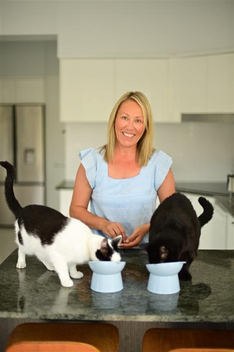 Cat Companion Sydney Cat Companion Sydney